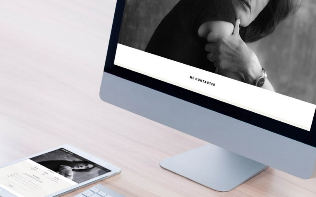 ISABELLE FAUQUEZ ARTISTE