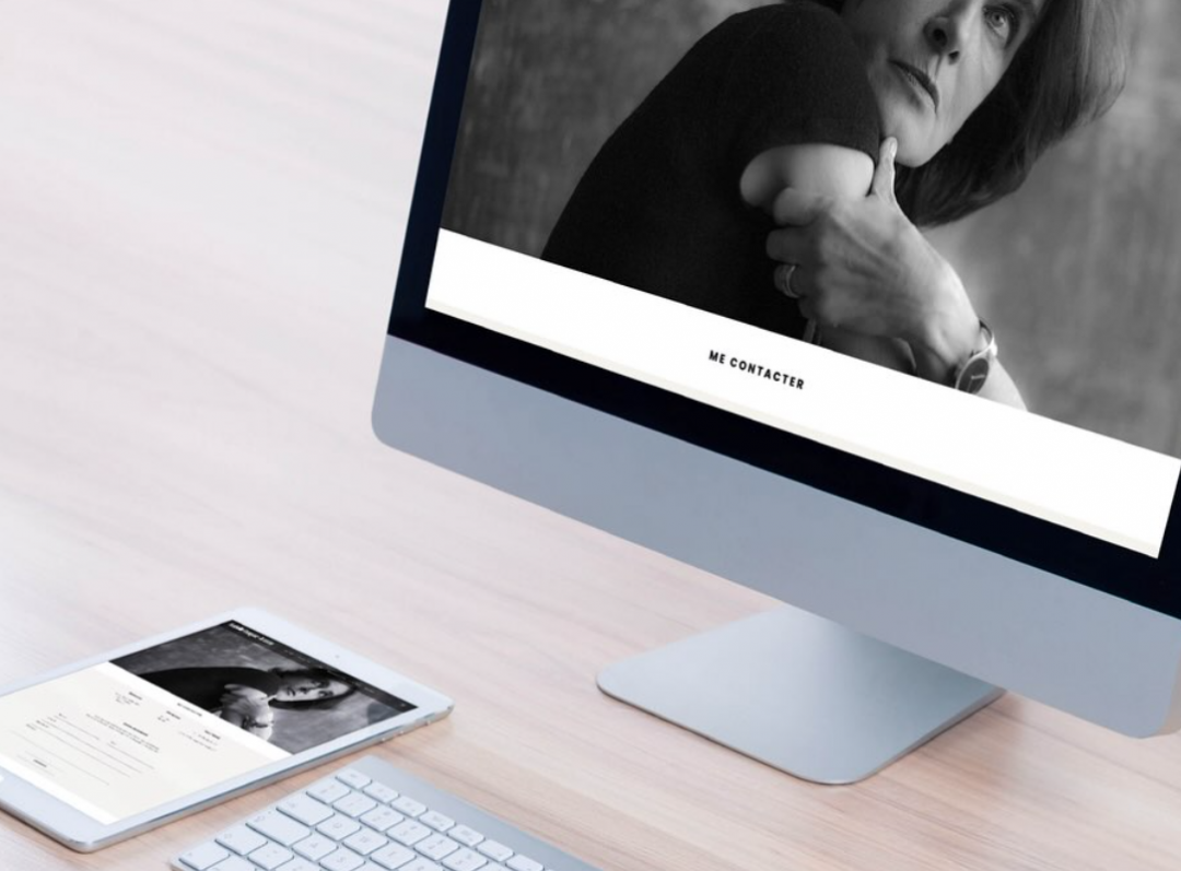 ISABELLE FAUQUEZ ARTISTE